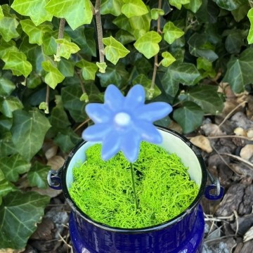 Bloemasterblauw