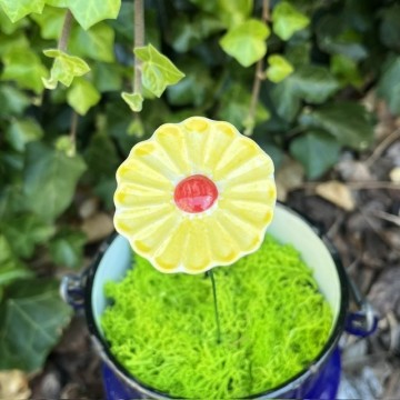 Bloemgeel2