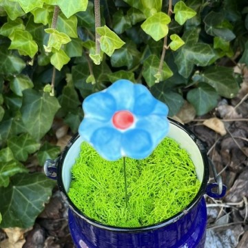 Bloemmiddelblauw