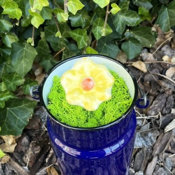Bloemmiddelgeel