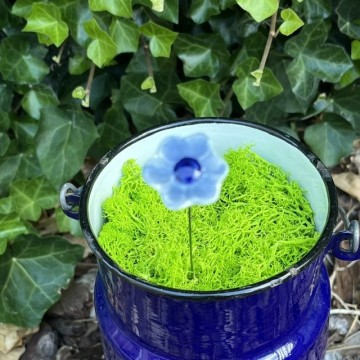 Bloemminiblauw