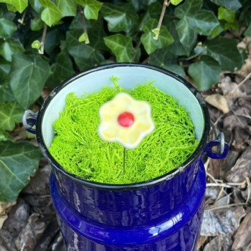 Bloemminigeel