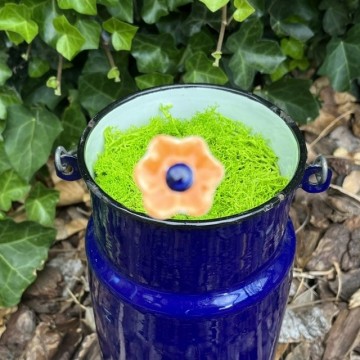 Bloemminioranje