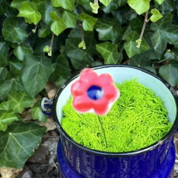 Bloemminirood