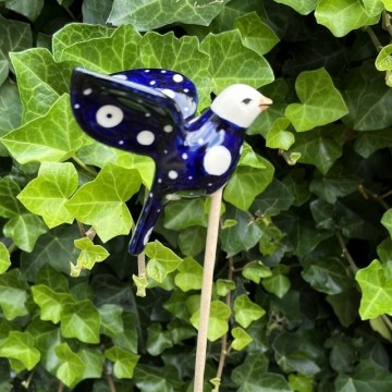 Vogel3