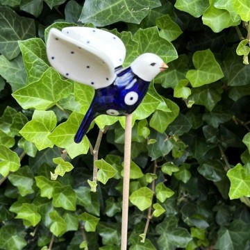Vogel4